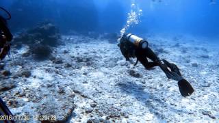 Diving in Praslin Island Seychelles [upl. by Oileduab]