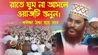 যে ওয়াজ শুনে কেঁদেছে লাখো মানুষ আল্লামা দেলোয়ার হোসাইন সাঈদী  হযরত মোহাম্মদ সা এর জীবনী  Waz [upl. by Naus]