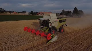 🇵🇱Żniwa Pszenicy 2023🇵🇱🔥 CLAAS LEXION 7400 amp CERIO 770 2x John Deere🌾🔥GR GRZELAK🌾🇵🇱 [upl. by Yrrehs]