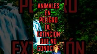 quot5 Especies en Peligro de Extinción que Desconocías [upl. by Nolat]