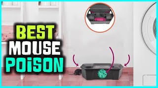 Best Mouse Poisons in 2023  Top 5 Picks  See This Before You Buy [upl. by Nod]