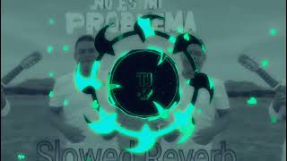 Es tu problema No es mi problema Slowed  Reverb  Mid Boost [upl. by Griselda]