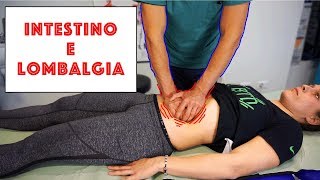 Quando un DOLORE ALLA SCHIENA è causato dallINTESTINO  Vlog 14  Intestino e lombalgie [upl. by Odnomar]