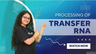 tRNA processing  Molecular Biology  Life Science  Dr Charanjeet Kaur [upl. by Nilerual]