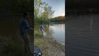 Catfish fishing Pêche à la Barbue de rivière Bécancour Qc [upl. by Alida]