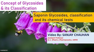 Concept of Glycosides II Saponin glycosides II Classification amp Chemical tests of Saponin glycosides [upl. by Noryd]