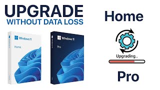 How to Upgrade Windows 11 Home to Pro without Data Loss [upl. by Vivyan761]