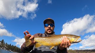 Solar Eclipse RenoTahoe Fishing FRENCHMANS LAKE [upl. by Karlens177]