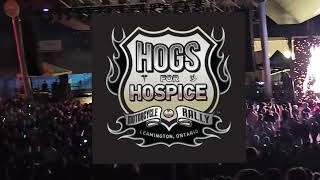 STONE TEMPLE PILOTS  Live  Hogs For Hospice 2024 pt6 [upl. by Simonetta]