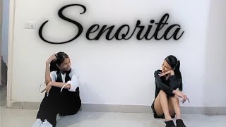 Senorita dance cover❤choreographed by meshawnmendes camilacabello [upl. by Harbison]