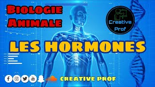 Physiologie Animale  Endocrinologie  les Hormones endocrines [upl. by Thorman]