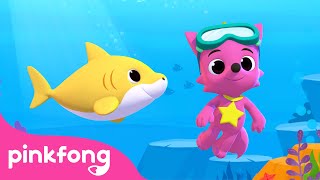 3D Bebê Tubarão com Pinkfong  Bebê Tubarão  Pinkfong Canções para crianças [upl. by Yelyah615]