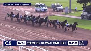 Grand Prix De Wallonie Gr1 2024  Go On Boy amp Romain Derieux 1145 2850m [upl. by Alraep]