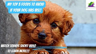 MY TOP 3 FOODS TO AVOID IF YOUR DOG HAS IBS [upl. by Hercules723]