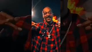 SNOOP DOGG LIVE 💯🔥😎hiphop rap gangster shorts like [upl. by Paik]