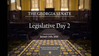 Georgia Senate 2020 Day 2 [upl. by Tuppeny]