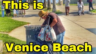 This is Venice Beach 2024 [upl. by Ailegra218]