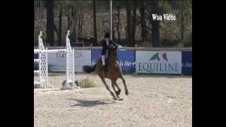 Edwina TopsAlexander and Mel dArgences Jump Off at Vidauban 22nd March 2012 [upl. by Ennaimaj263]