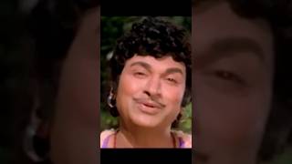 chinnada mallige hoove kannada songkannada drrajkumar love shorts trending trendingshorts [upl. by Cassilda]