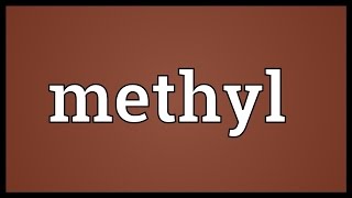 Methyl Meaning [upl. by Ibmat607]