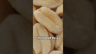 Crunch Time Quick Peanut Brittle viral viralvideo viralshorts [upl. by Romy]