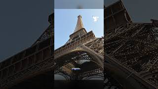 Cinq cercueils recouverts du drapeau français déposés devant la Tour Eiffel [upl. by Maurine]