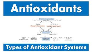 Antioxidants and Types of antioxidant systems [upl. by Gibb]