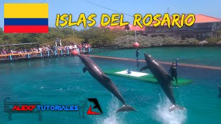 Show Delfines Islas del Rosario 2020 Cartagena [upl. by Keenan]