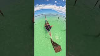 insta360 bacalar lagoon mexicomagico quintanaroo travel taking a break nodronenoproblem [upl. by Cohdwell370]