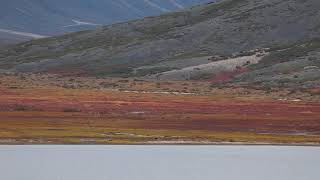 Anadyr Highlands in Chukotka 2020 [upl. by Aissenav]