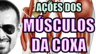 Vídeo Aula 122  Anatomia Humana  Sistema Muscular  Músculos da Coxa Quadríceps e Isquiotibiais [upl. by Regina]