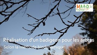 Réalisation dun badigeon pour le soin des arbres selon la méthode biodynamique [upl. by Uoliram]