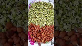 How to grow mung bean sprouts houseplants nature [upl. by Eyr]