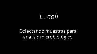 Colectando muestras para análisis microbiológico de E coli  Sept 2019 [upl. by Trant]