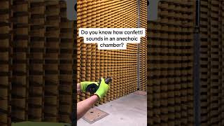 Do you know how confetti sounds in anechoic chamber [upl. by Presley]