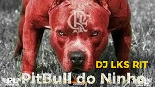 DJ LKS RIT  PitBull do ninho  versão 2 flamengo music flamengohoje [upl. by Netnerb]