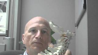 Does Chiropractic Cure Dowagers Hump Asks Dr Joe Charleston Spine and Disc [upl. by Christensen]