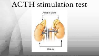 ACTH stimulation test [upl. by Goraud]