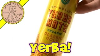 Yerba Mate Organic Classic Gold Drink Guayaki Review [upl. by Nitz88]