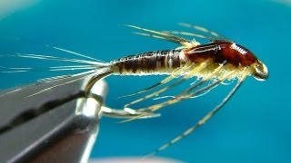 Tying a Small MayFly Nymph by Davie McPhail [upl. by Hutner492]