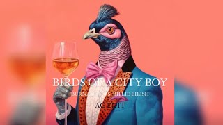 BURNA BOY VS BILLIE EILISH MASH UP  CITY BOYS X BIRDS OF A FEATHER INSTRUMENTAL BURNA BOY MASHUP [upl. by Nahaj68]