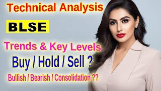 BLS EServices Stock Analysis Key Levels and Insights for Traders [upl. by Irodim468]