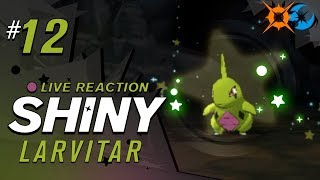 AWESOME SHINY POKEMON SHINY LARVITAR  Pokemon Ultra Sun and Moon Shiny Reaction 12  CBAD [upl. by Eilime]