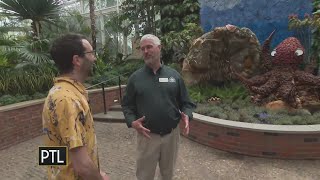 A sneak peak at Phipps Conservatory and Botanical Gardens summer flower show [upl. by Connett399]