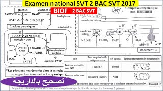 Examen national svt 2 bac svt 2017 option français [upl. by Annibo]