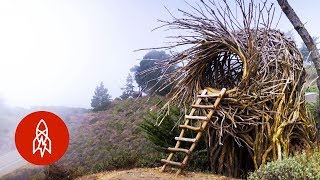 Meet the Man Building HumanSized Nests [upl. by Ecenaj]