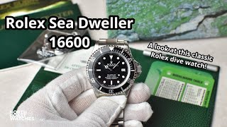 Rolex Sea Dweller 16600  Unboxing overview and wrist check [upl. by Iramohs845]