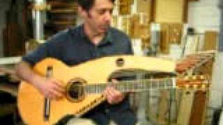 21 string harp guitar [upl. by Ayital]