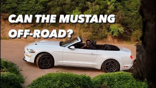 Taking My Brand New Mustang Offroading [upl. by Etirugram30]