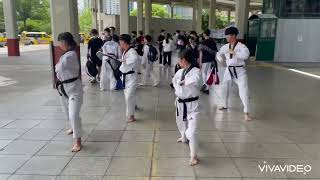 Poomsae 11  TAEBAEK [upl. by Ennovart]